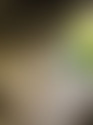 Taking Shelter in the Wounds of Jesus - Part 1