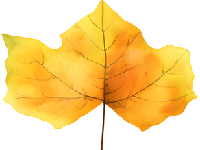 Herbstferien - Programm 05.11.26 und 06.11.26