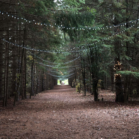 Wilderness practices begins at home