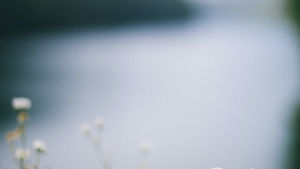 Photo d'un paysage tranquille