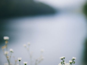 Why Understanding Yourself Doesn’t Always Create Change
