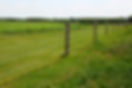 An electric fence on a farm