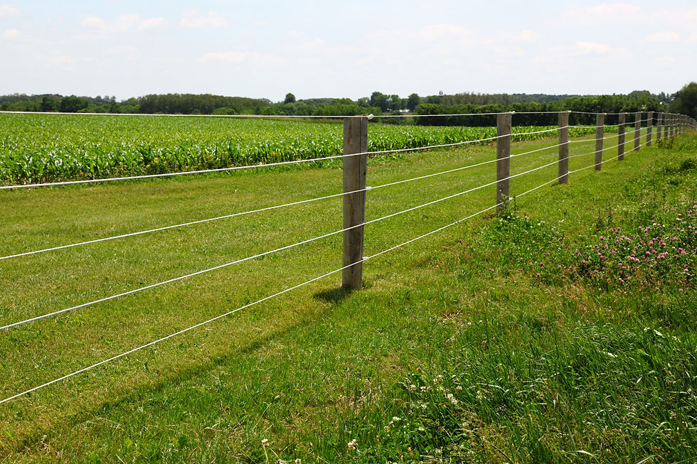 An electric fence on a farm