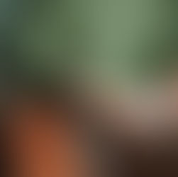 Numérique responsable et éco-innovations