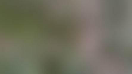 Orléans en avril : les bonnes raisons de venir ce mois-ci