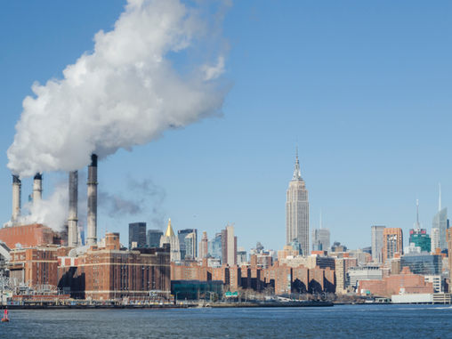 10 simple ways to reduce your carbon footprint