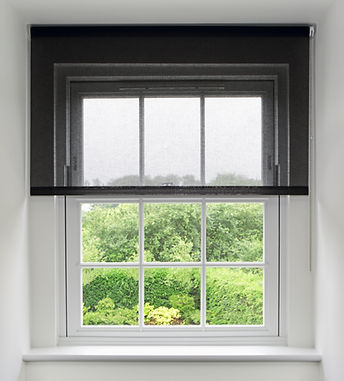 High quality white wood framed sash window in an attic cove overlooking green trees