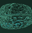 Abstract Brain Design