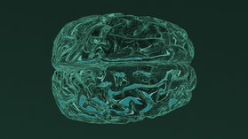 Cerebral cortex and brain 🧠 rega™ IV Therapy: Neuroplasticity- How the Brain Can Regenerate and Rewire Itself- With Your Help