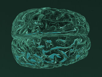 NEUROPOZII ȘI MICROBIOMUL: O LEGĂTURĂ ESENȚIALĂ PENTRU SĂNĂTATEA CREIERULUI