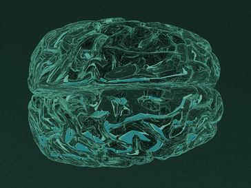 image d'un cerveau pour évoquer le système nerveux