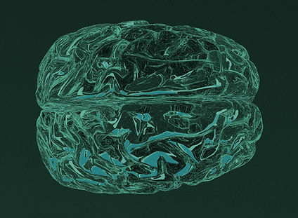 Brain Illustration