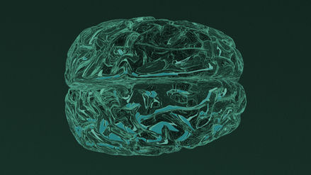 The Big Beautiful Brain