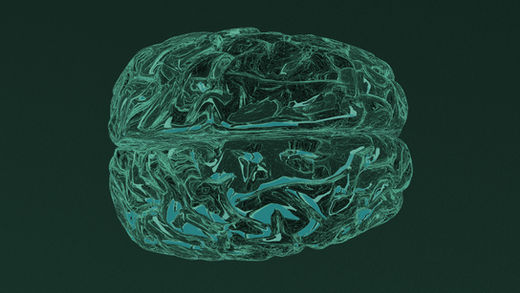 Gadolinium is evident in neurons. Description of overall deposition in brain and presence in other cells.