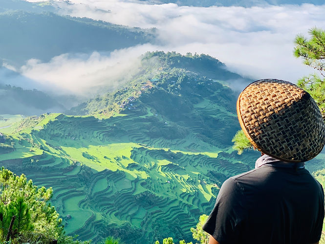 Rice Terraces Painting