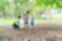 Park Cleanup