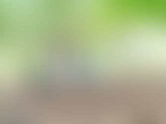 美化活動報告 2023年5月