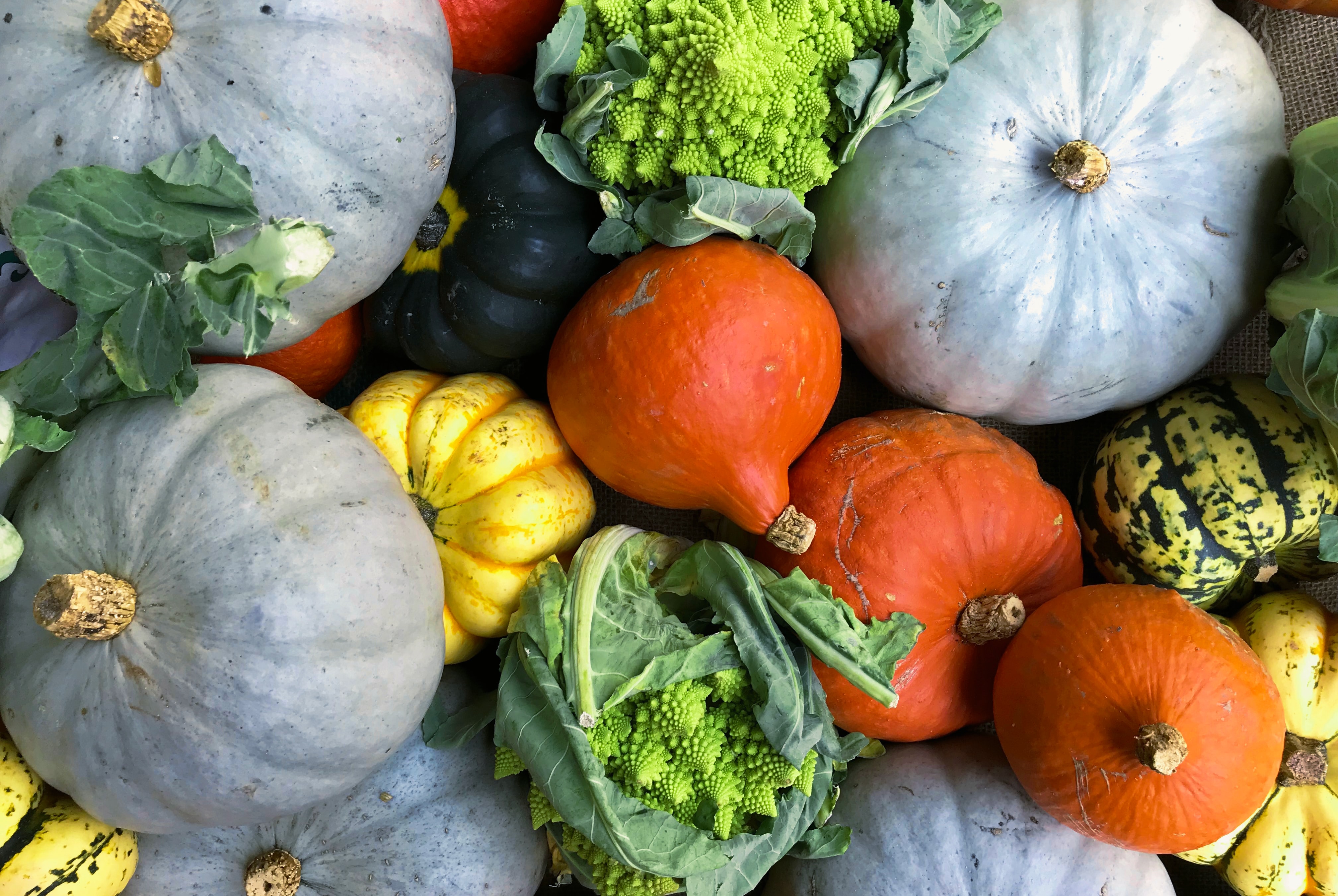 Organic vegetables grown in an edible landscape