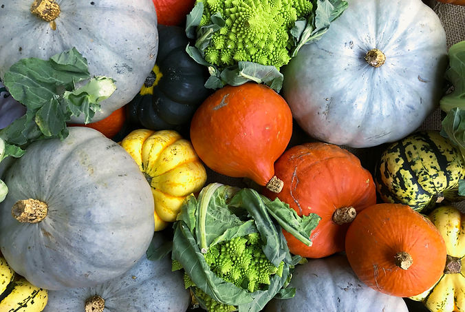 Courges d'automne colorées