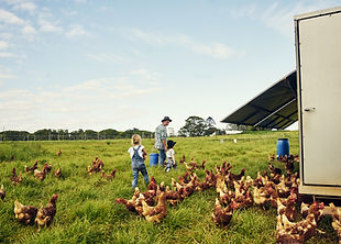 Farm Family Scene