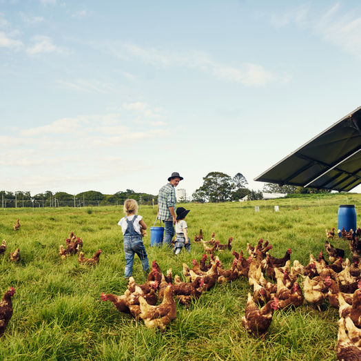 $1 Billion Injected Into Diversified Farms: What It Really Means for Agriculture