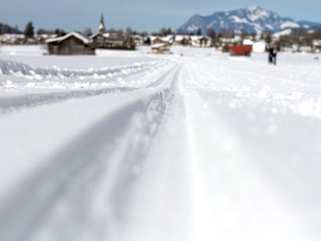 Grenfell Crescent - Cross Country Skiers and Snowshoers on our Property