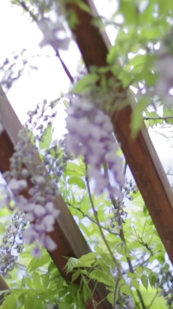 Come To Desert Bloom For Garden Supplies Grand Junction Co