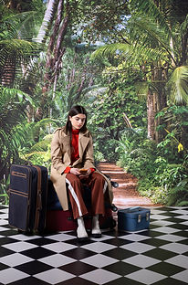 Woman With Luggage