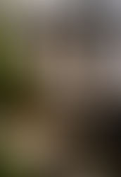 ぬっぺふの実体験記⑥