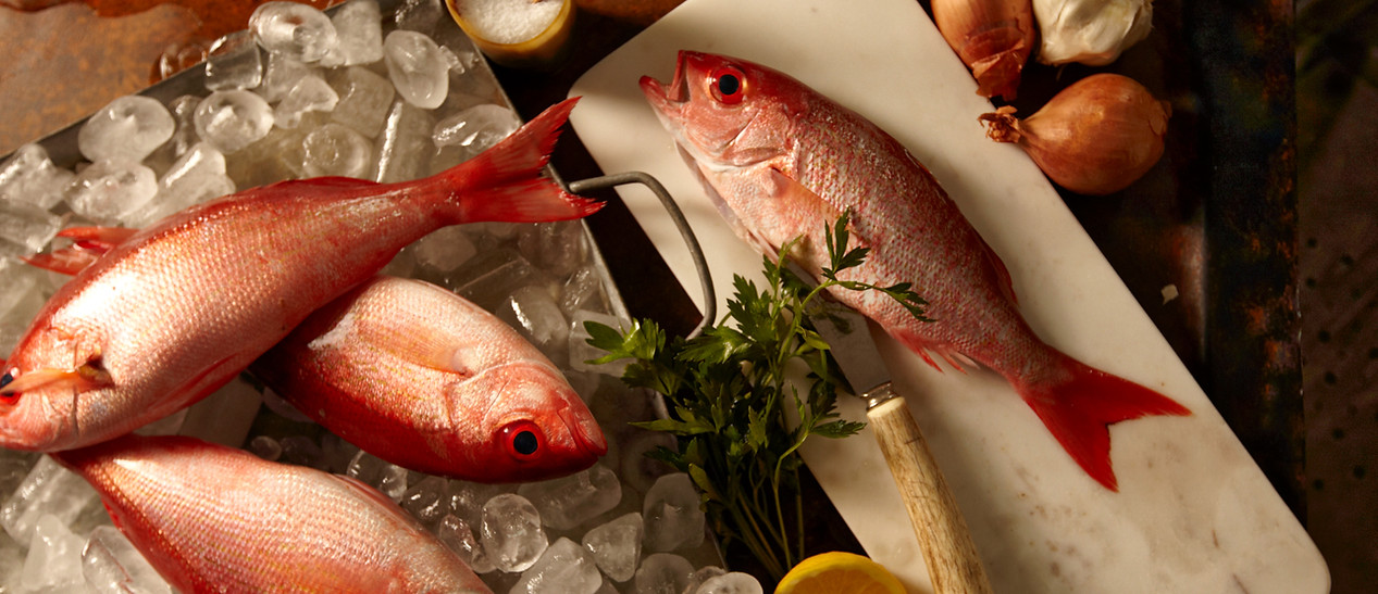 Red Snappers 
