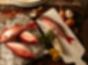 Red Snappers 