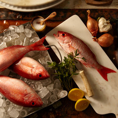 Red Snappers
