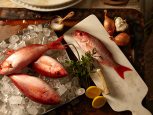 Red Snappers