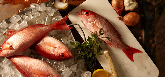 Red Snappers