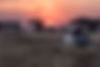 Safari Sunrise