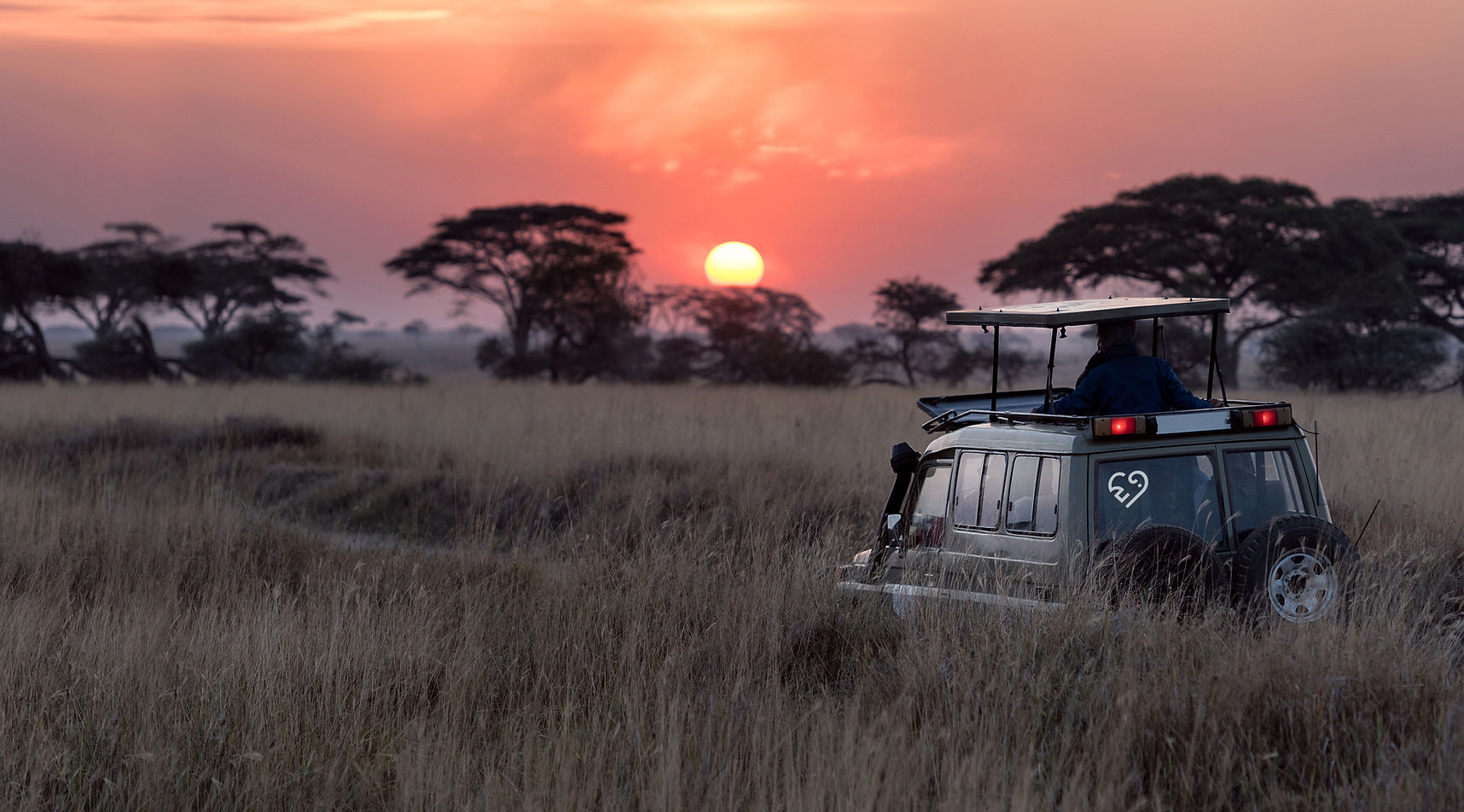Safari During Sunset