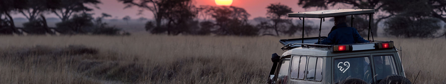 Safari Sunrise
