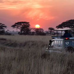 Gute und günstige Safaris hier buchen.