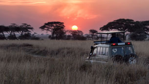 What to Know Before Your Trip to Kenya
