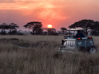 10 Must-Pack Items for Your East African Safari