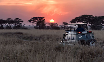 Safari Sunrise