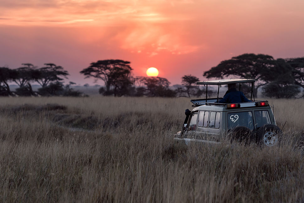 Safari bei Sonnenuntergang