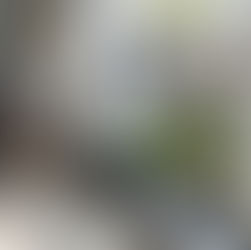 What is a Litigation Hold Notice?