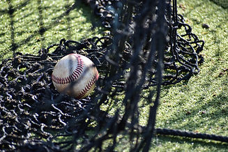 Baseball With Net