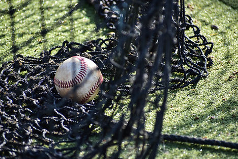 Baseball With Net