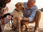 Man Bonding With Dogs