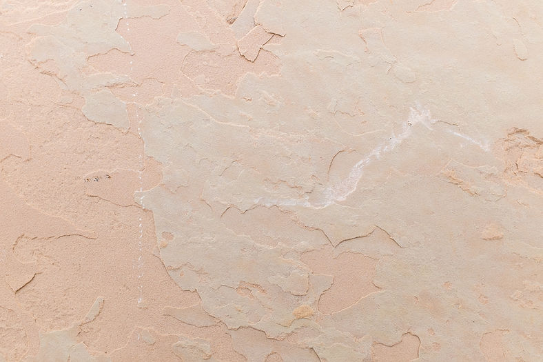 Beige Texture