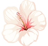 Hibiscus Flower symbol