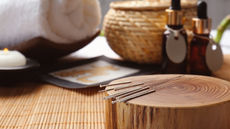 Harmonia Career Guide to Acupuncture