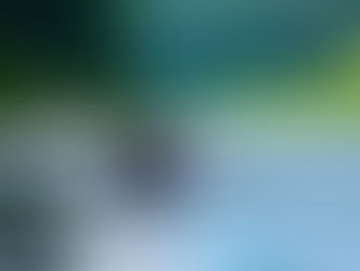夏季ラフティングを実施しました